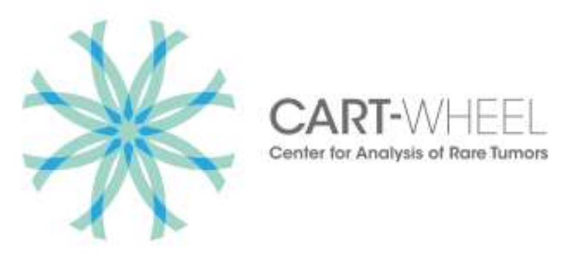 Cart Wheel Logo